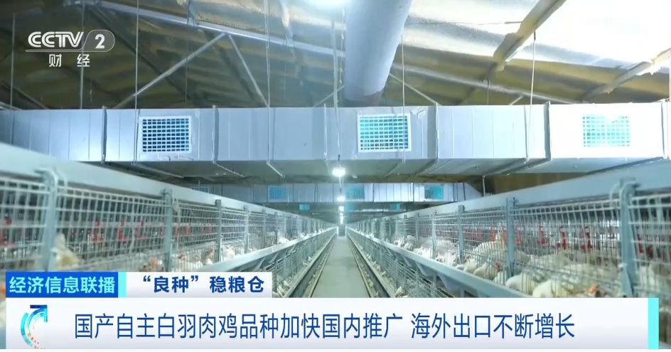 MG游戏官网 - 首页