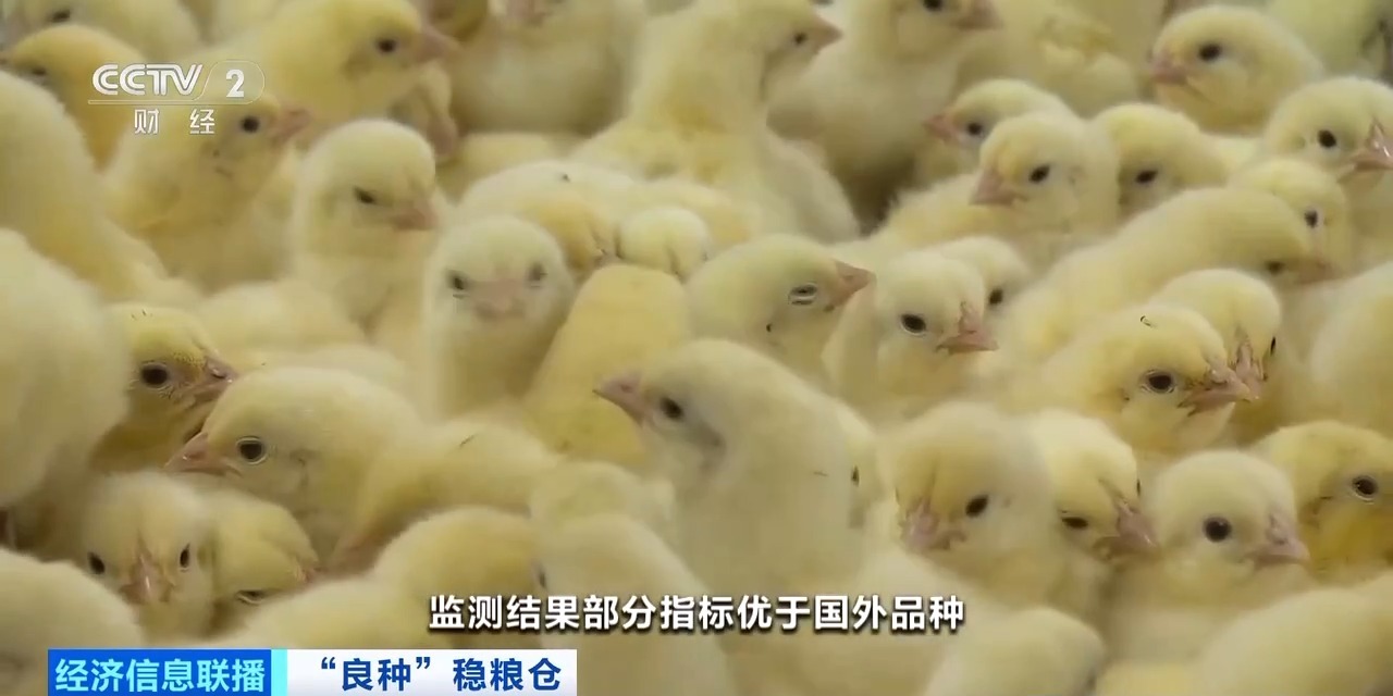 MG游戏官网 - 首页