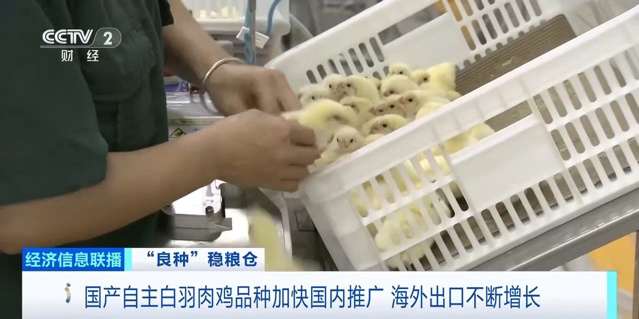 MG游戏官网 - 首页