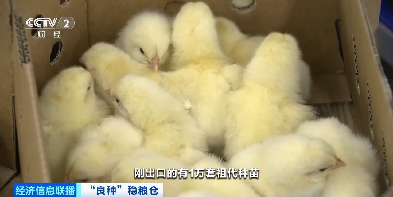 MG游戏官网 - 首页